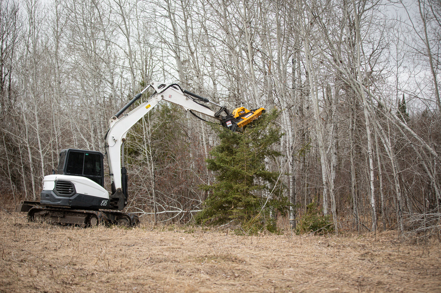 Excavator cutting down a tree in a forested area