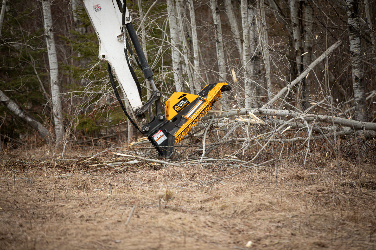 Tree cutting machine in a forest clearing