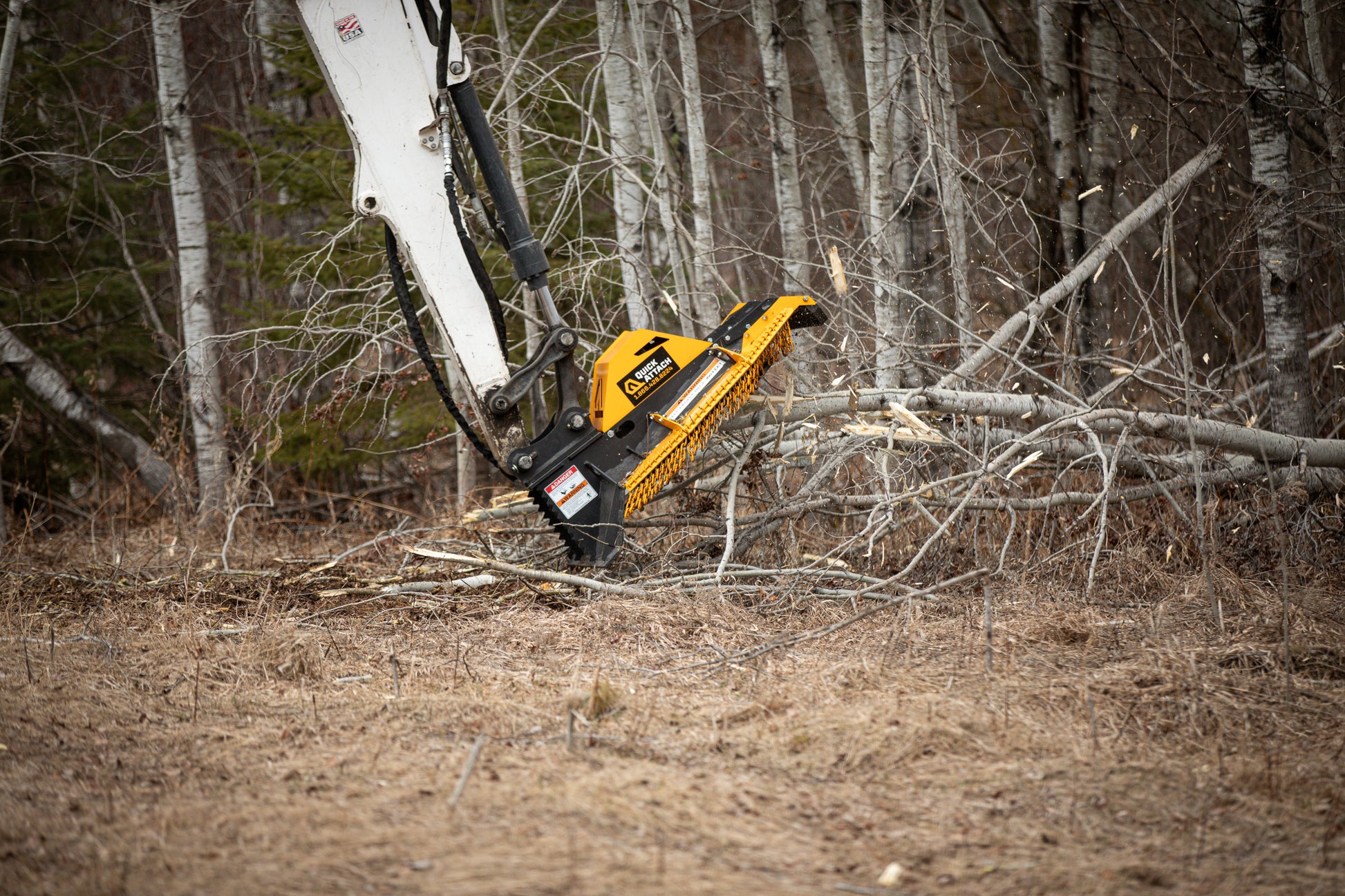 Tree cutting machine in a forest clearing