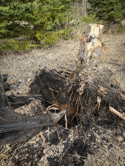 Eagle Talon - Log, Brush and Rock Grapple Rake