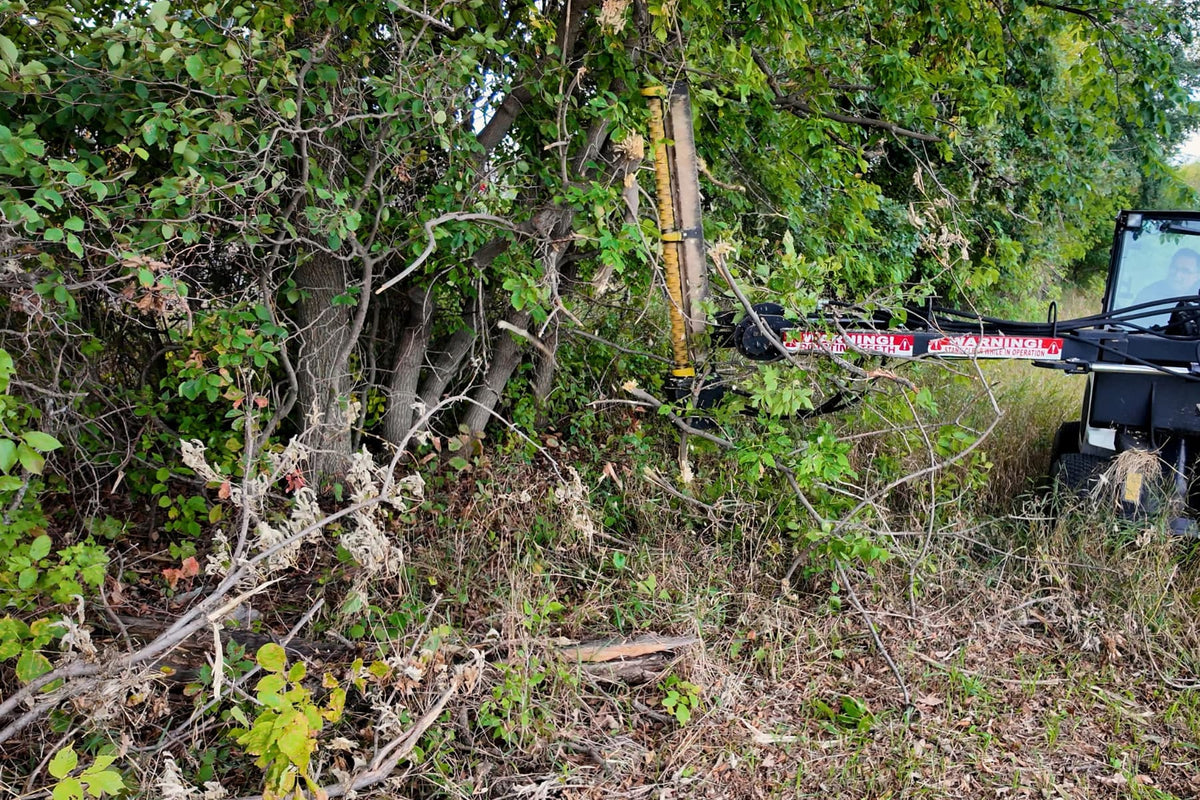 Junior Limb Cutter extended from a skid steer into brush along a wooded edge.