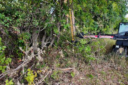 Junior Limb Cutter extended from a skid steer into brush along a wooded edge.