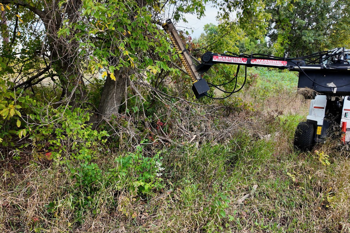 Junior Limb Cutter mounted on a skid steer beside overgrown trees and brush.