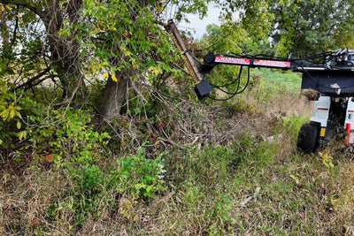 Junior Limb Cutter mounted on a skid steer beside overgrown trees and brush.