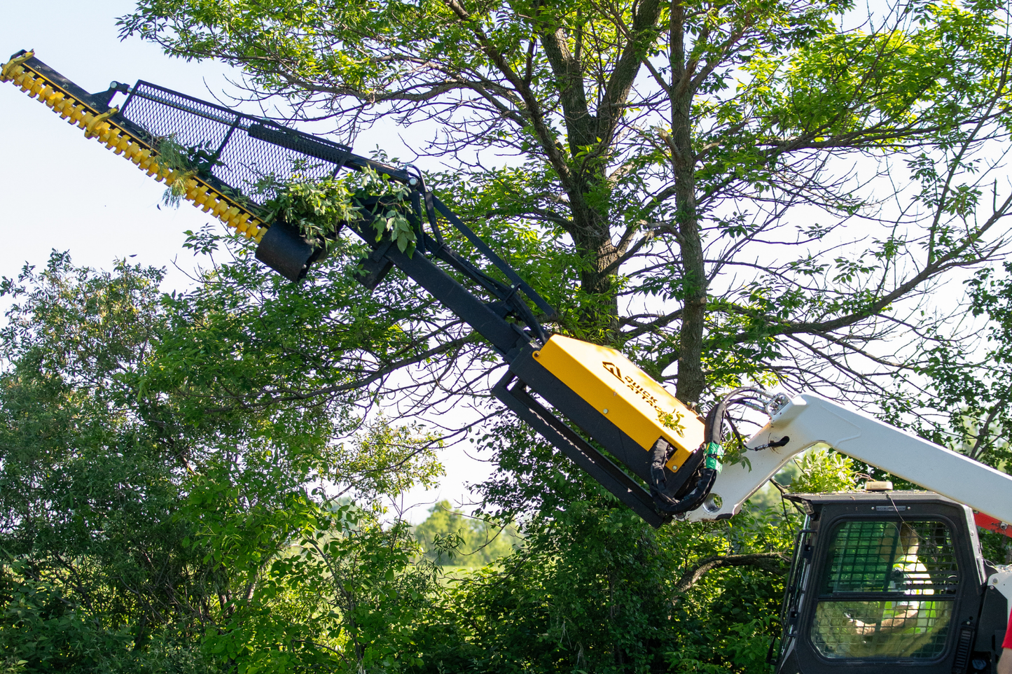 A yellow and black tree trimmer attachment mounted on a white skid steer, shown in a real outdoor environment with green trees and branches.