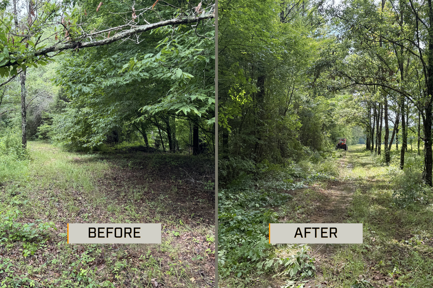 A side-by-side before and after comparison of a wooded outdoor area. The left panel labeled BEFORE shows a dense, overgrown forest clearing with leaf litter and uneven tree coverage.