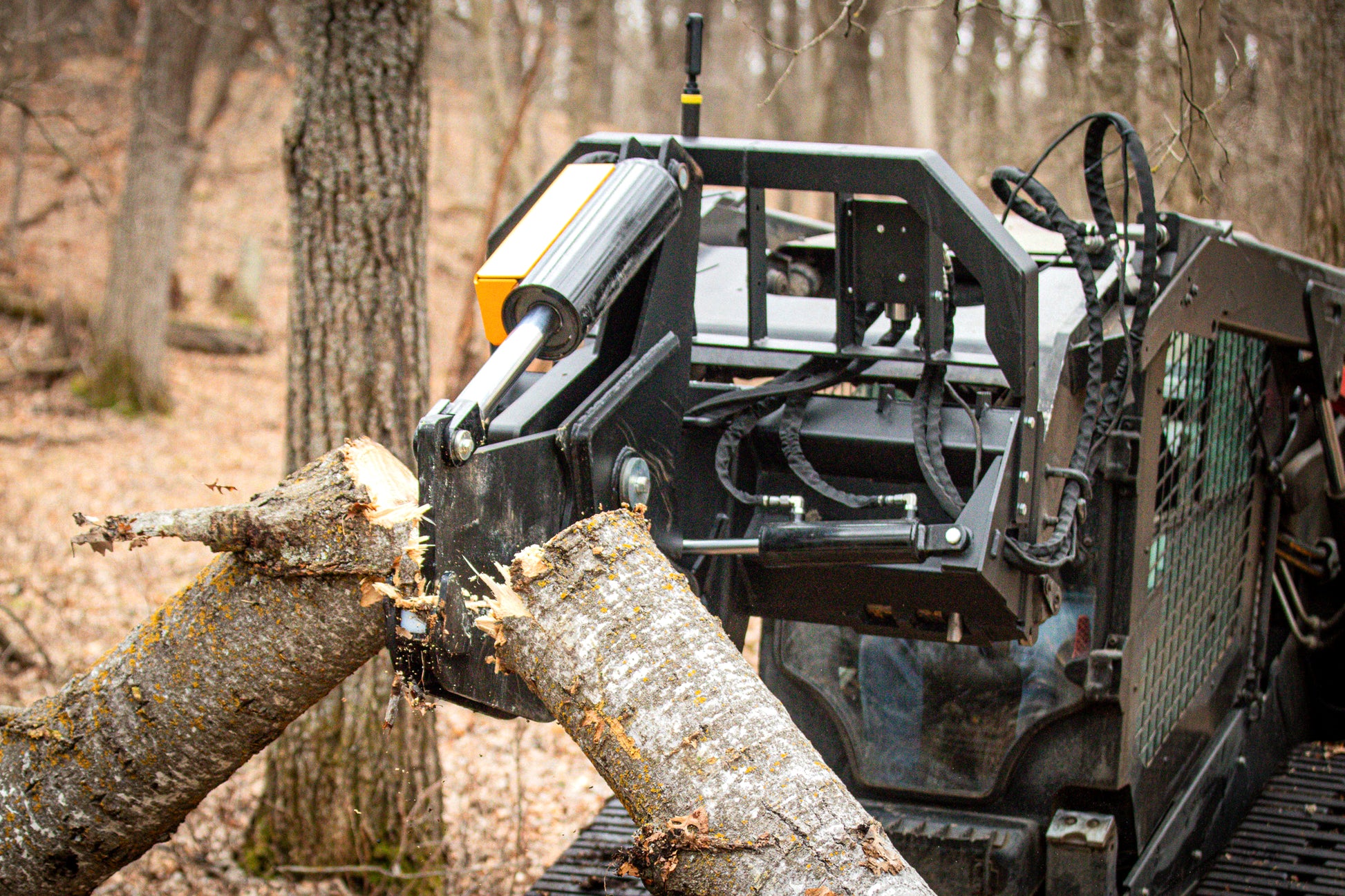 tree shear cutting a log in a forest setting