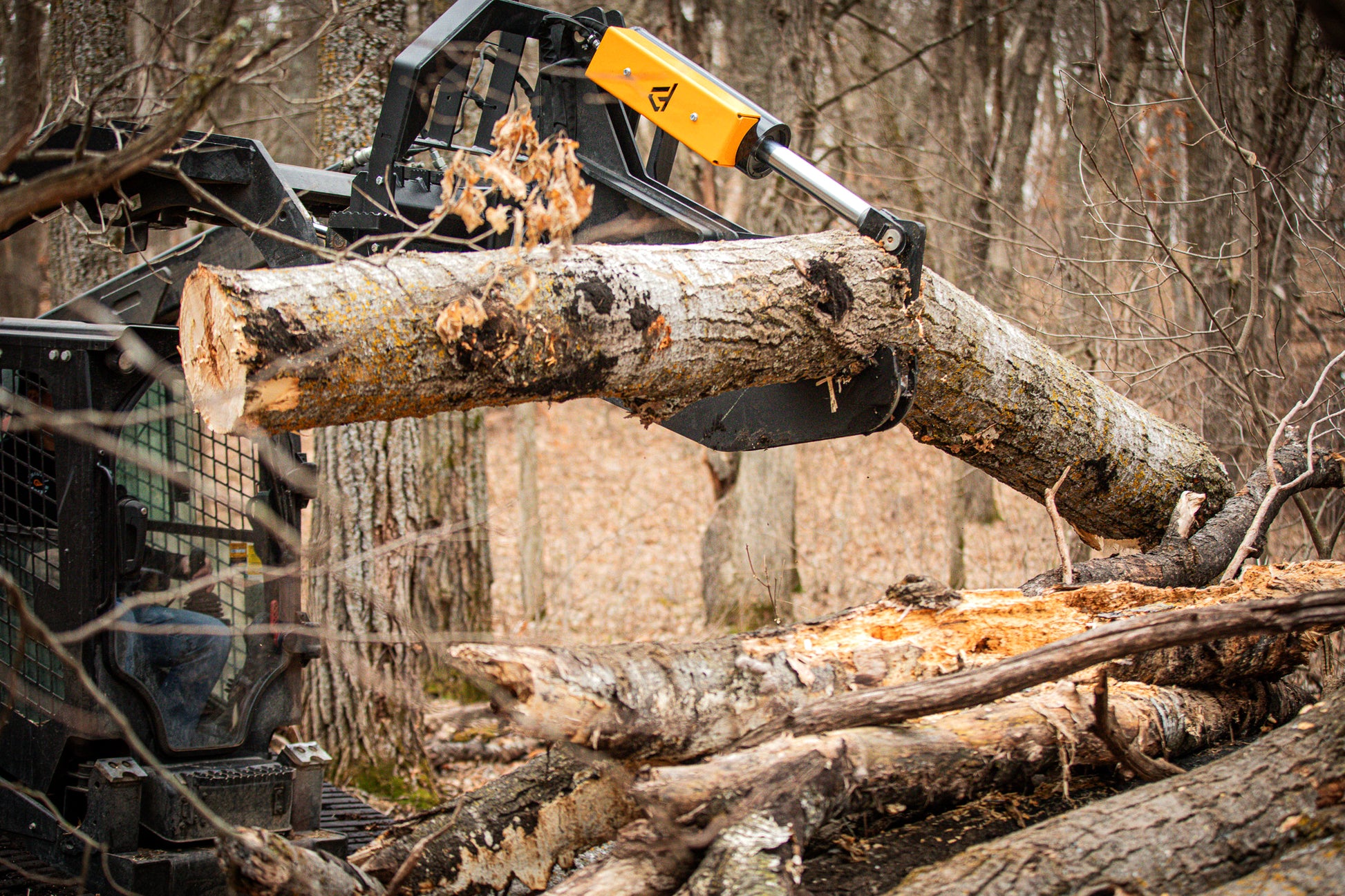 forestry equipment cutting a log in a forest setting