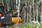 This skid steer mulcher attachment is designed with a variable displacement motor that automatically determines the best combination of speed and torque to tackle any situation.